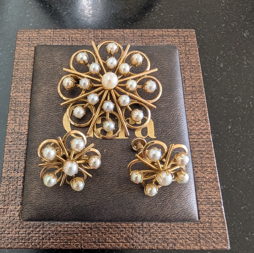 Gold Filled Earring And Brooch Set